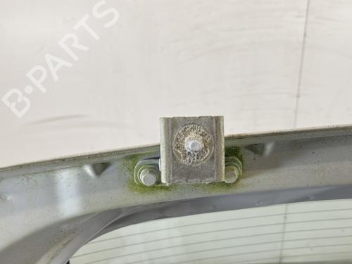 Tailgate DACIA SANDERO II TCe 90 (B8M1, B8MA, B8AC) | BP31357084C6 