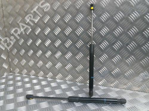 Used Tailgate lift support PEUGEOT 407 SW (6E_, 6D_) 2.0 HDi 135 (136 hp) 20000053