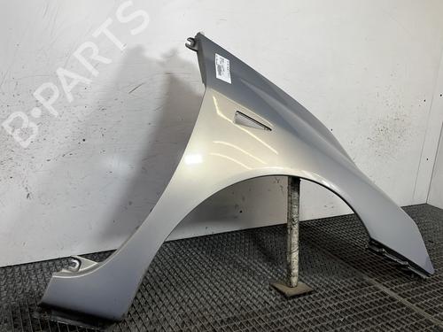 Right front fenders RENAULT ESPACE IV (JK0/1_) 2.2 dCi (JK0H) | BP29842202C42 