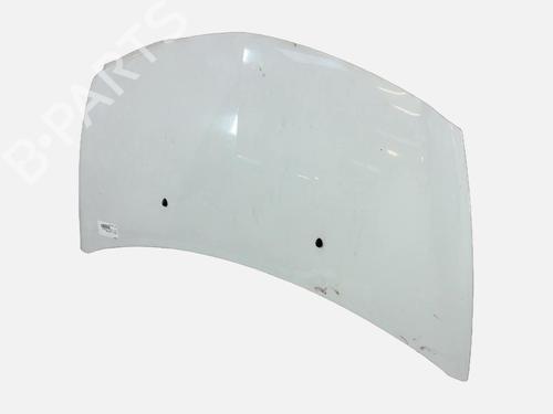 hood-renault-clio-iii-br01-cr01-2005-2006-2007-2008-2009-2010-2011-2012-2013-2014-39653803 main image