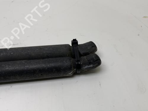 Tailgate lift support FORD S-MAX (WA6) 2.0 TDCi | BP19978347C138 