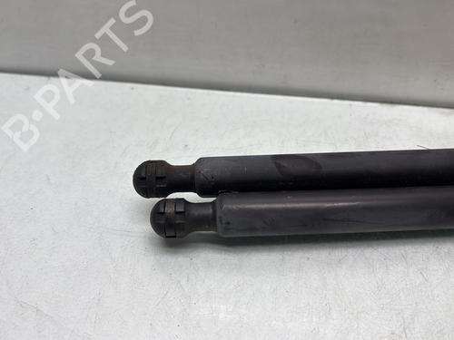 Tailgate lift support DACIA SANDERO II 1.5 dCi | BP29897571C138 - Image 3
