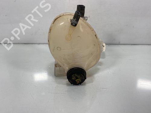 Used Expansion tank FORD KA+ III (UK, FK) 1.2 (85 hp) 19953119