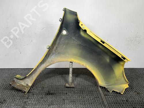 Left front fenders RENAULT KANGOO Express (FW0/1_) 1.5 dCi 70 (FW0A, KW0V) | BP29413649C41 