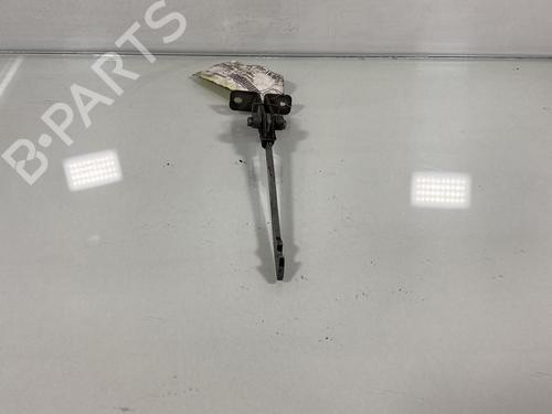 Hinge/Door check strap RENAULT KANGOO Express (FW0/1_) 1.5 dCi 110 (FW0C, FW0H) | BP21949893C146 
