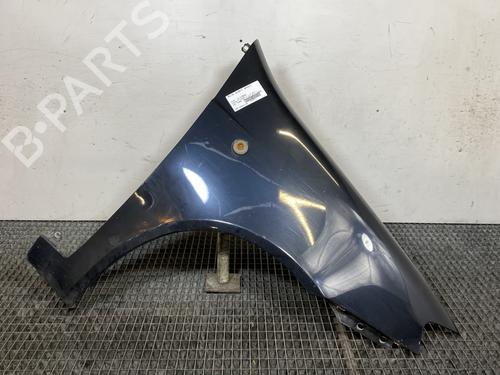 Used Right front fenders FIAT PUNTO (188_) 1.3 JTD 16V (70 hp) 22273994