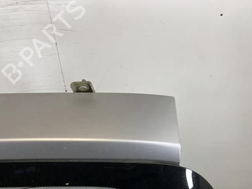 Tailgate RENAULT CLIO III (BR0/1, CR0/1) 1.5 dCi (BR17, CR17) | BP29711709C6 