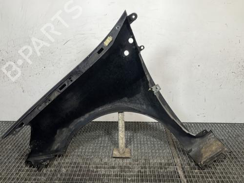 Right front fenders RENAULT CLIO III (BR0/1, CR0/1) 1.6 16V (BR09, BR0T, CR09, CR0T) | BP29841439C42