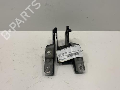 Used Hinge/Door check strap PEUGEOT 4007 (VU_, VV_) 2.2 HDi (156 hp) 19975834