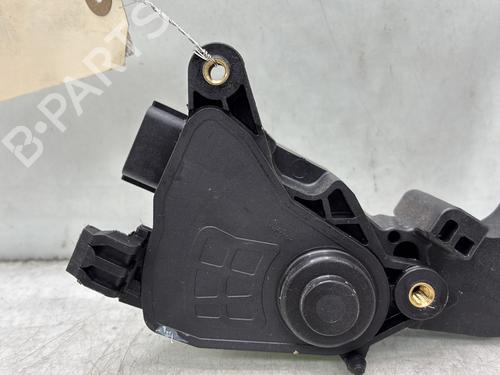 Pedal Pedal RENAULT MEGANE IV Grandtour (K9A/M/N_) 1.5 dCi 110 (110 hp) 33830724 33830724