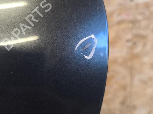 Left rear door CITROËN C4 Picasso I MPV (UD_) 1.6 HDi 110 | BP21732576C4 