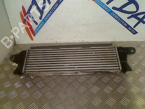 Intercooler RENAULT KANGOO Express (FC0/1_) 1.9 dCi 4x4 (FC0V) | BP21745933M30 
