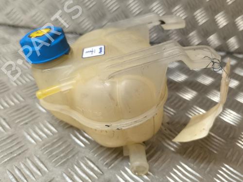 Expansion tank FIAT PUNTO EVO (199_) 1.3 D Multijet (199AXC1A, 199BXC1A, 199AXT1A, 199BXT1A) | BP22005672C120
