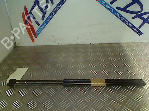 Used Tailgate lift support PEUGEOT 1007 (KM_) 1.4 HDi (68 hp) 21750771