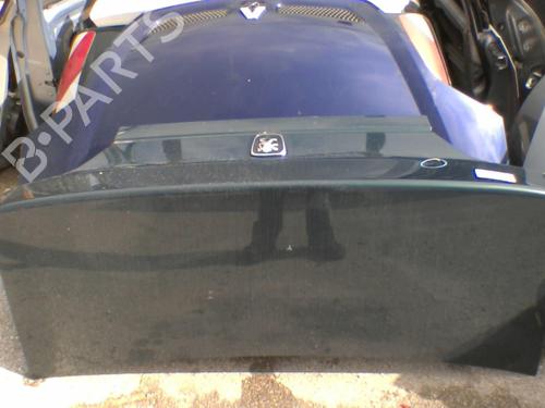 Used Tailgate PEUGEOT 406 (8B) 1.9 TD (92 hp) 21739372