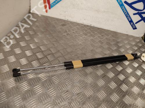 Gassdemper Bakluke RENAULT ESPACE IV (JK0/1_) 2.0 dCi (JK03, JK04, JK1C, JK1G, JK1J, JK1K) (173 hp) 21743182