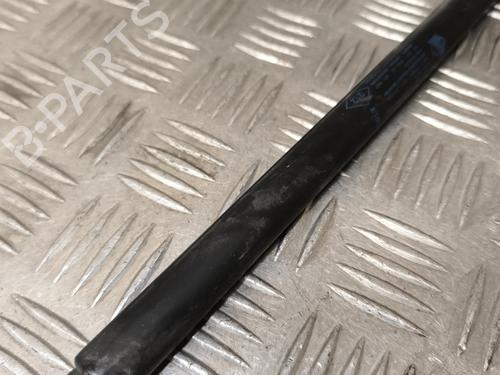 Hood lift support RENAULT MEGANE III Hatchback (BZ0/1_, B3_) 1.5 dCi | BP22015477C139 