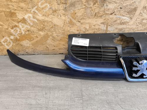 Grill PEUGEOT 206 Hatchback (2A/C) 2.0 HDI 90 | BP28175121C40 