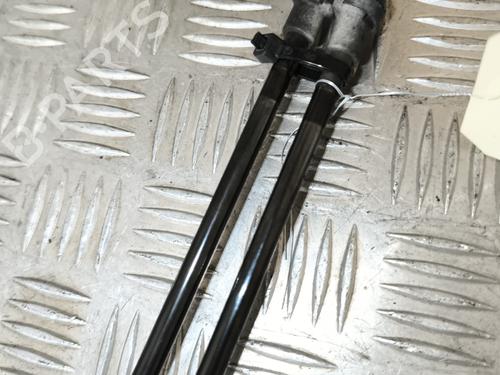 Tailgate lift support NISSAN QASHQAI I (J10, NJ10) 1.5 dCi | BP24377721C138