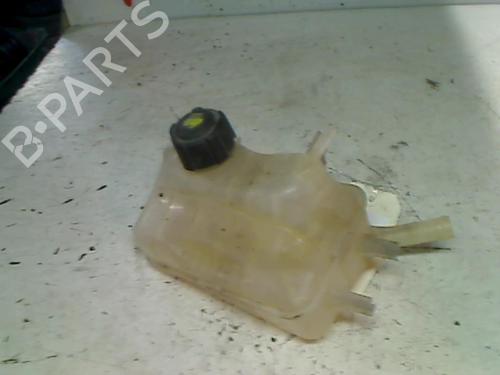 Used Expansion tank RENAULT MEGANE III Hatchback (BZ0/1_, B3_) 1.5 dCi (86 hp) 21752465