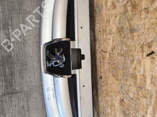 Used Grille PEUGEOT PARTNER Box Body/MPV (5_, G_) 1.6 HDi 75 (75 hp) 27266735