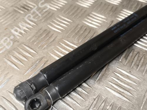 Tailgate lift support FORD FOCUS III 1.0 EcoBoost | BP22361130C138 