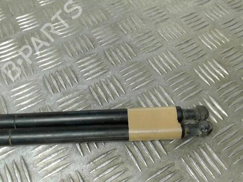 Tailgate lift support BMW 3 (E46) 320 d | BP21742719C138 