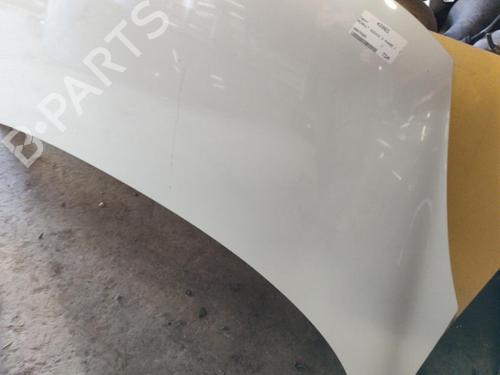 Hood RENAULT SCÉNIC III (JZ0/1_) 1.9 dCi (JZ0J, JZ1J, JZ1K, JZ1S) | BP21742032C1 