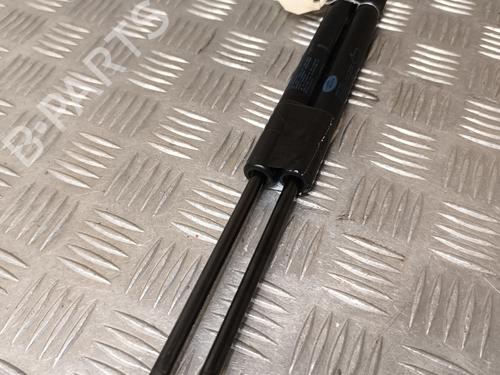 Used Hood lift support LAND ROVER FREELANDER 2 (L359) 2.2 TD4 4x4 (150 hp) 22556645