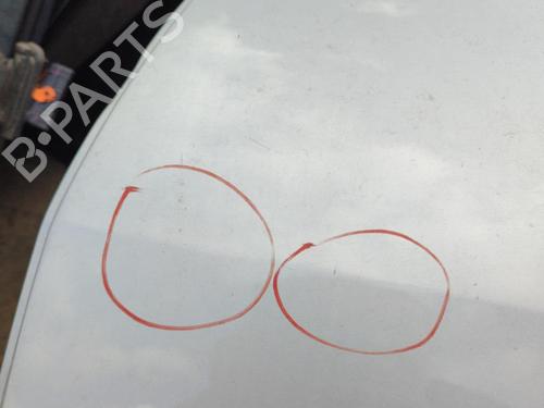 Left rear door DACIA SANDERO 1.5 dCi | BP21742886C4