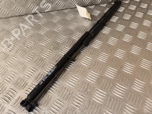 Used Tailgate lift support RENAULT KOLEOS I (HY_) 2.0 dCi (HY0K) (150 hp) 21728875