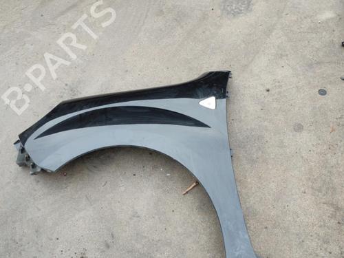 Left front fenders RENAULT KANGOO / GRAND KANGOO II (KW0/1_) 1.5 dCi 85 (KW0K, KW0L, KW0B) | BP21734967C41 