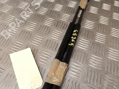 Used Tailgate lift support RENAULT CLIO II (BB_, CB_) 1.2 16V (BB05, BB0W, BB11, BB27, BB2T, BB2U, BB2V, CB05,... (75 hp) 31356970