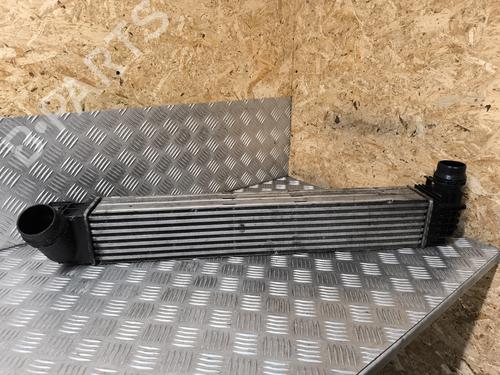 Used Intercooler RENAULT SCÉNIC III (JZ0/1_) 1.9 dCi (JZ0J, JZ1J, JZ1K, JZ1S) (131 hp) 29042129