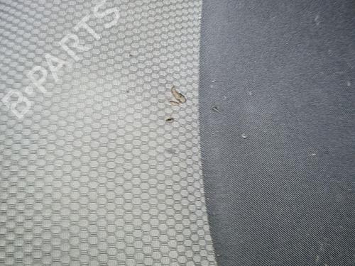 Front bumper RENAULT KANGOO Express (FW0/1_) 1.5 dCi 90 (FW0G, FW05, FW08, FW11) | BP30794156C7