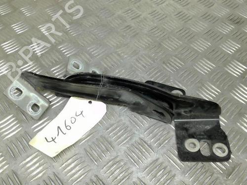 Hinge/Door check strap RENAULT KANGOO / GRAND KANGOO II (KW0/1_) 1.5 dCi 85 (KW0K, KW0L, KW0B) | BP21749370C146 