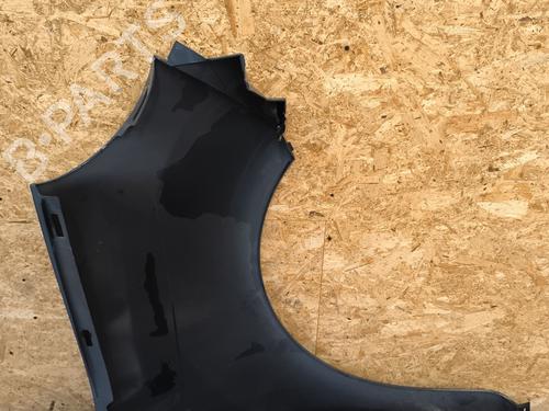 Left front fenders RENAULT KANGOO Express (FW0/1_) 1.5 dCi 85 (FW0K, FW0L, FW0B) | BP22439546C41 