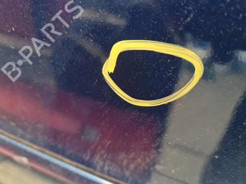 Right front door OPEL ZAFIRA / ZAFIRA FAMILY B (A05) 1.9 CDTI (M75) | BP27162316C3 