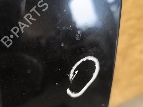 Left front door RENAULT MEGANE III Hatchback (BZ0/1_, B3_) 1.5 dCi | BP21747763C2 