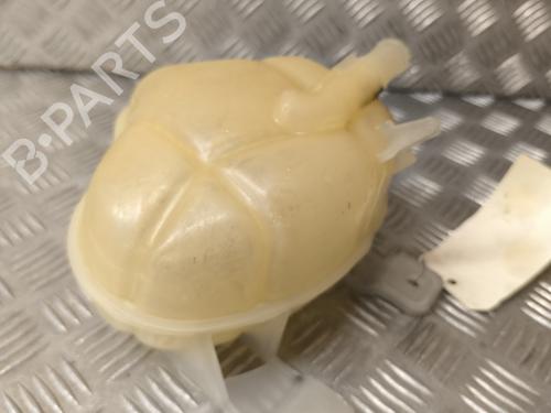 Expansion tank FIAT PUNTO EVO (199_) 1.3 D Multijet (199AXC1A, 199BXC1A, 199AXT1A, 199BXT1A) | BP22005672C120