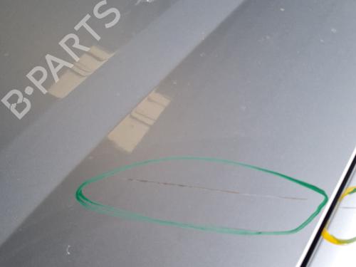 Hood PEUGEOT PARTNER MPV (5_, G_) 2.0 HDI | BP29120347C1 