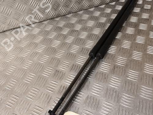 Used Tailgate lift support FORD KUGA II (DM2) 2.0 TDCi 4x4 (150 hp) 26941982