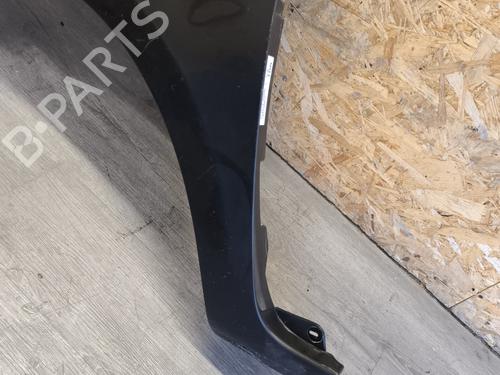 Left front fenders RENAULT CLIO III (BR0/1, CR0/1) 1.5 dCi (BR17, CR17) | BP24409452C41 