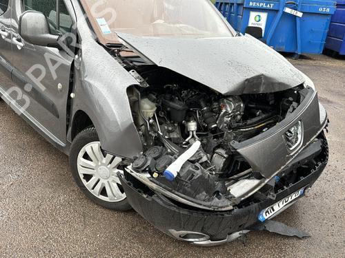 Display monitor PEUGEOT PARTNER Box Body/MPV 1.6 HDi | BP29240013C48 