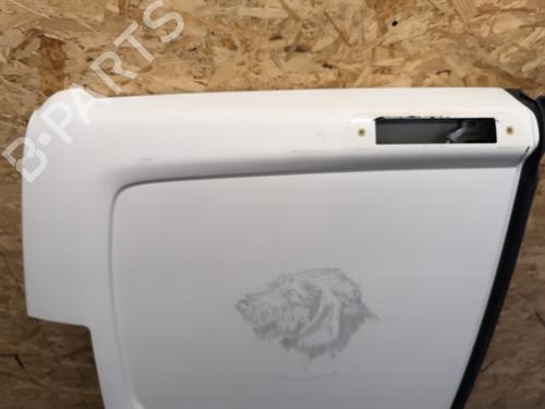 Left tailgate CITROËN JUMPY II Van 2.0 HDi 120 | BP29288203C76 