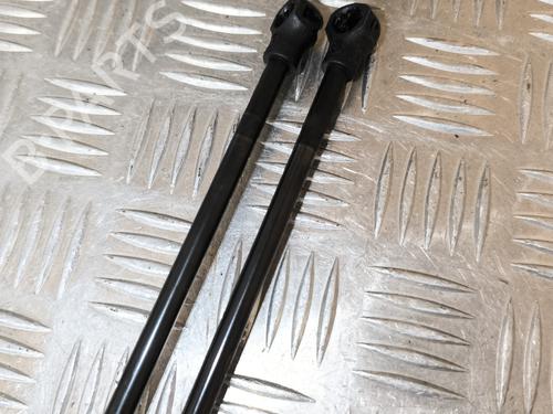 Tailgate lift support PEUGEOT 206+ (2L_, 2M_) 1.1 | BP26574073C138 