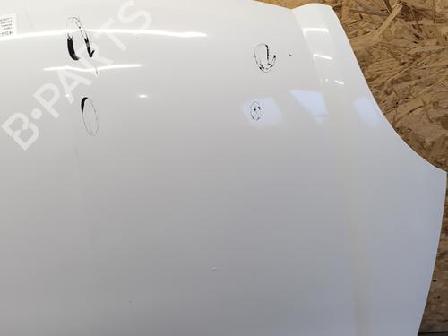 Hood RENAULT KANGOO Express (FC0/1_) 1.5 dCi (FC07, FC1R) | BP29120386C1