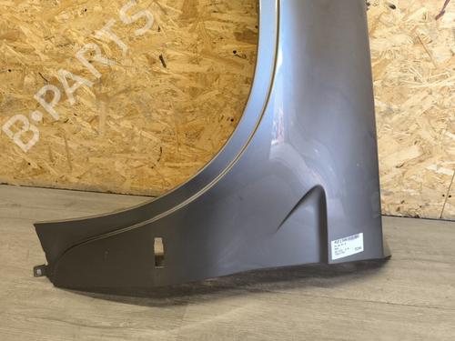 Left front fenders BMW X5 (E53) 3.0 d | BP21730572C41 