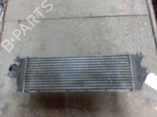 Intercooler RENAULT TRAFIC II Van (FL) 2.0 dCi 90 (FL0H, FL00, FL01, FL0M, FL0P, FL0S) | BP21751373M30 