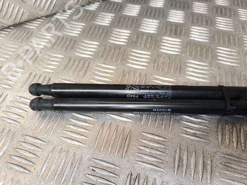 Tailgate lift support PEUGEOT 3008 II SUV (MC_, MR_, MJ_, M4_) 1.5 BlueHDi 130 | BP28683081C138 